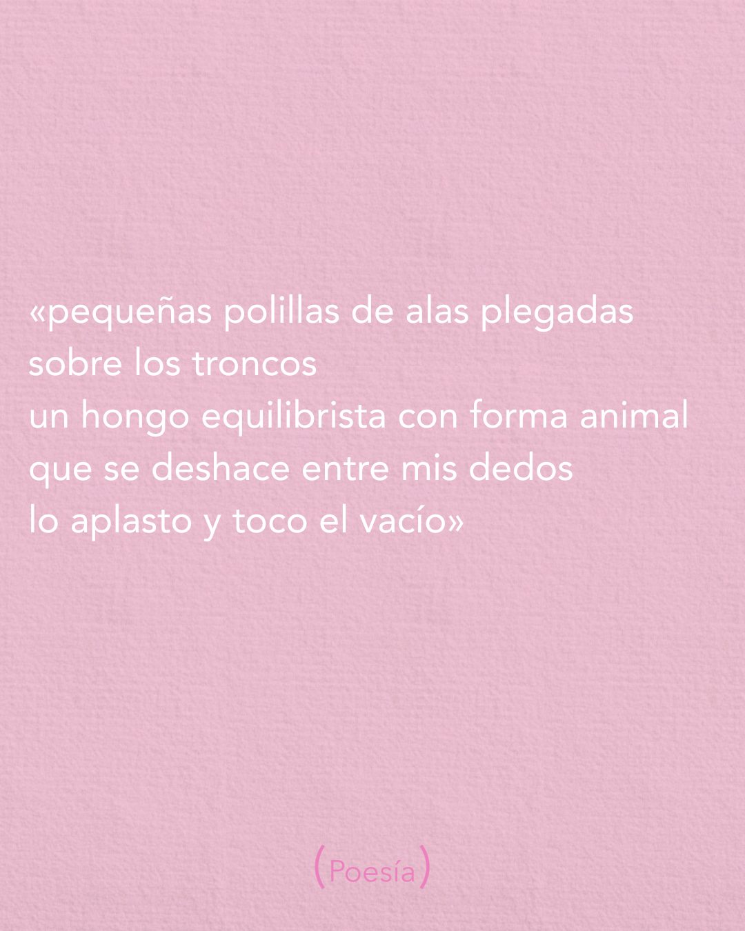 LOS ESCUCHO REÍR (SELECCIÓN)
