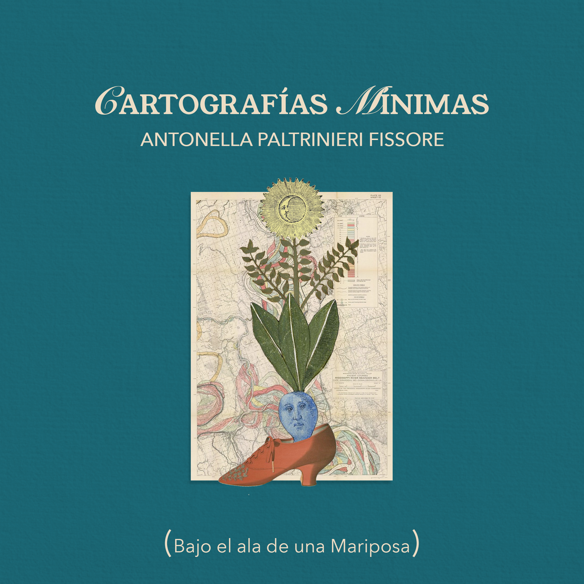 CARTOGRAFÍAS MÍNIMAS