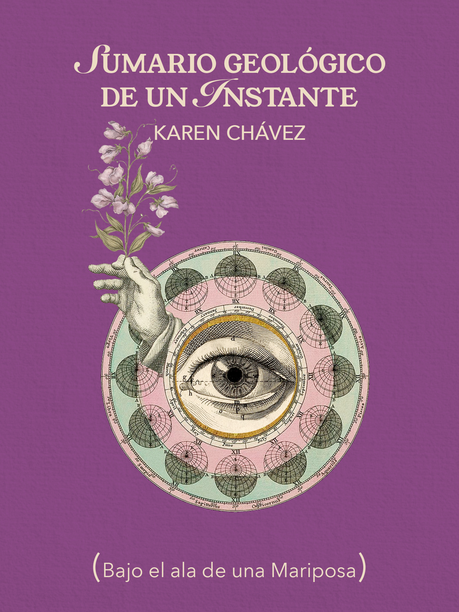 Sumario geológico de un instante