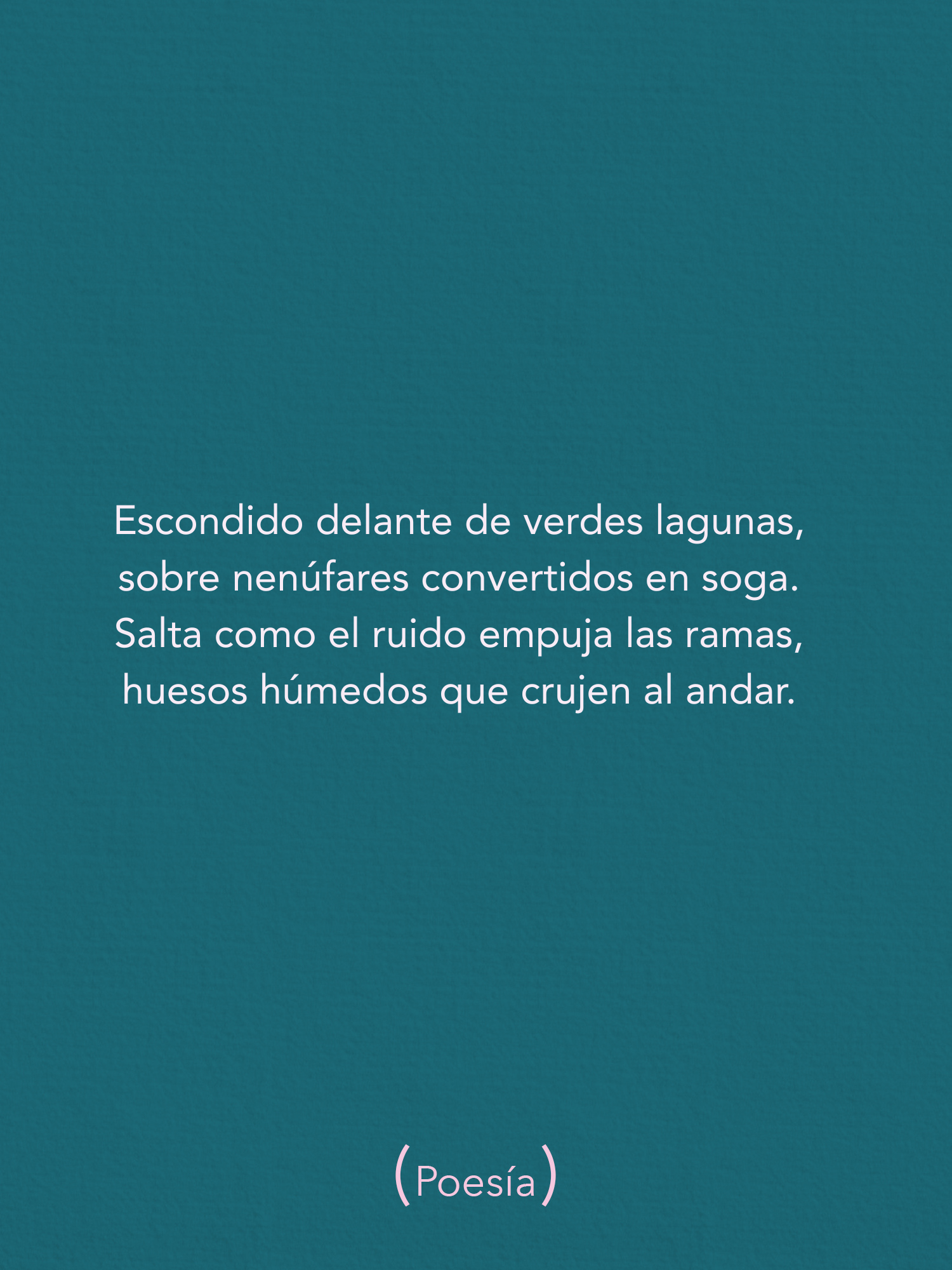 El tiempo es el peor de los peces